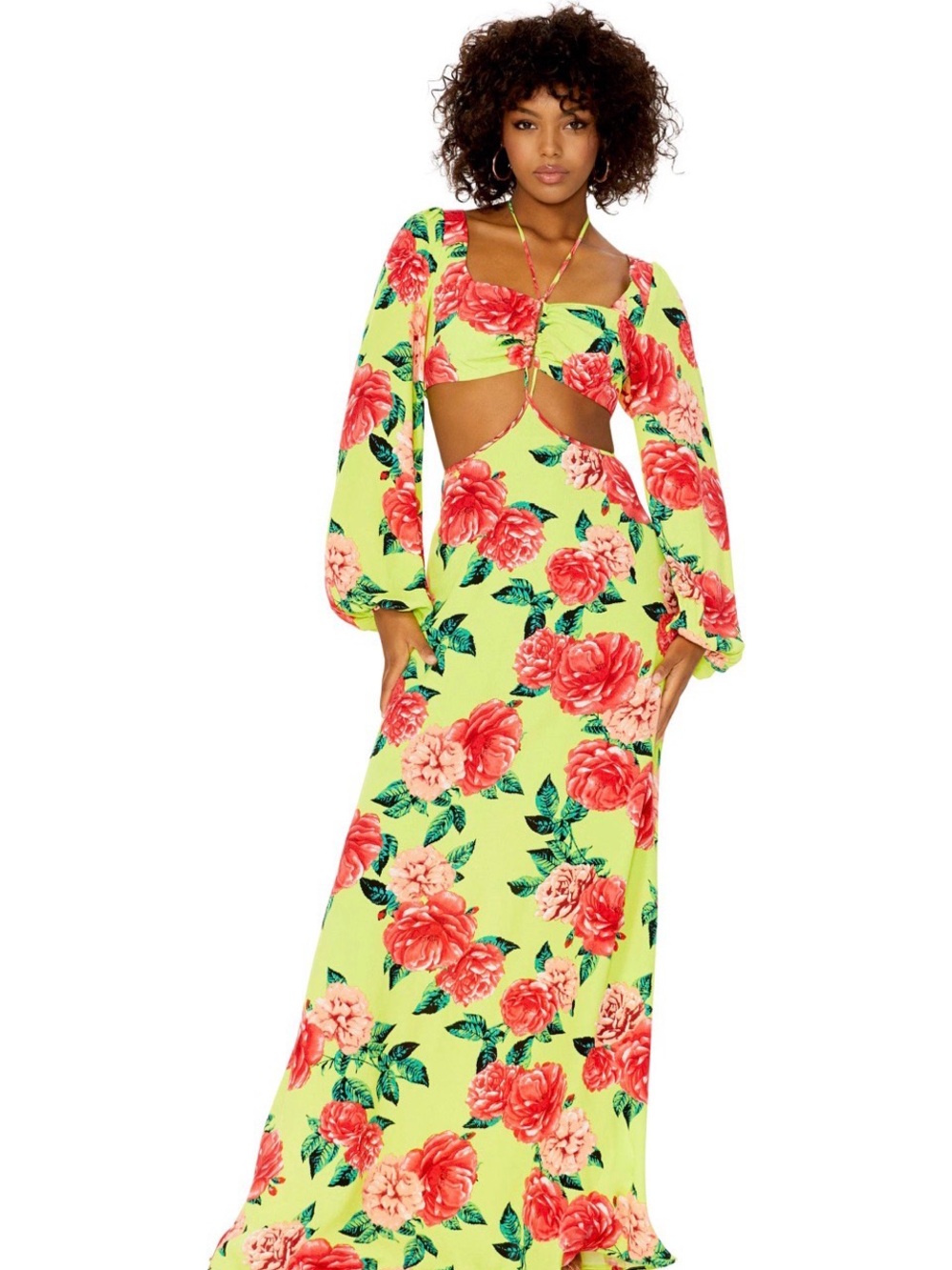 The AFRM Bekah Maxi Dress in Lime Rose Garden